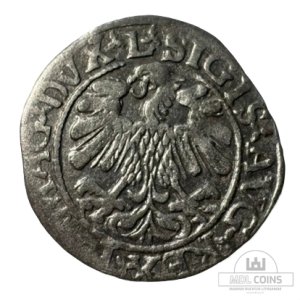 Alternative view of 1559 metų Žygimanto Augusto 1/2 grašio