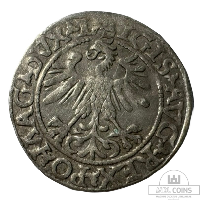 1560 metų Žygimanto Augusto 1/2 grašio - Image 2