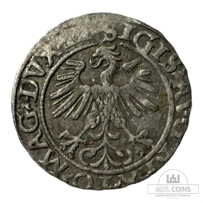1560 metų Žygimanto Augusto 1/2 grašio - Image 2