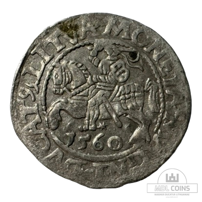 1560 metų Žygimanto Augusto 1/2 grašio