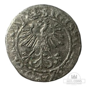 Alternative view of 1560 metų Žygimanto Augusto 1/2 grašio