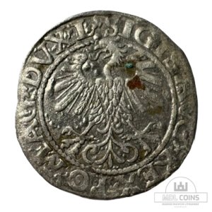 Alternative view of 1560 metų Žygimanto Augusto 1/2 grašio