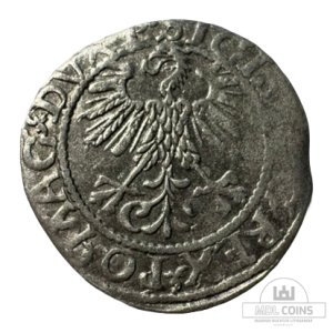 Alternative view of 1560 metų Žygimanto Augusto 1/2 grašio