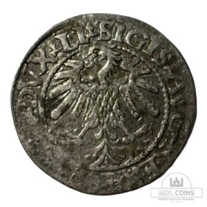 Alternative view of 1560 metų Žygimanto Augusto 1/2 grašio – (Sesija Nr.96 – Pabaiga 20260604 – 22.24 val. + 2 min. „Anti-sniping”)