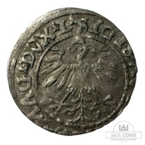 Alternative view of 1560 metų Žygimanto Augusto 1/2 grašio