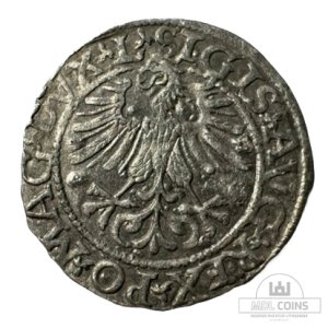 Alternative view of 1561 metų Žygimanto Augusto 1/2 grašio