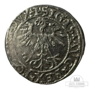 Alternative view of 1562 metų Žygimanto Augusto 1/2 grašio