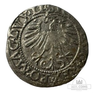 Alternative view of 1562 metų Žygimanto Augusto 1/2 grašio