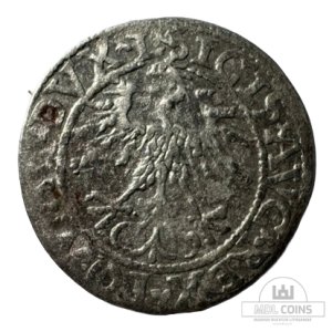 Alternative view of 1562 metų Žygimanto Augusto 1/2 grašio