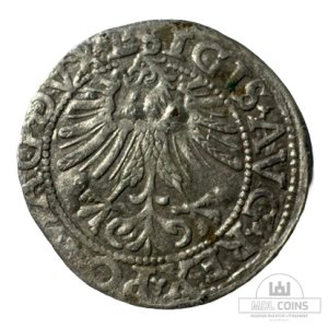 Alternative view of 1562 metų Žygimanto Augusto 1/2 grašio