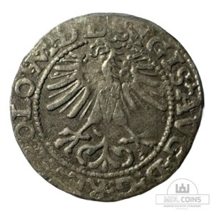 Alternative view of 1564 metų Žygimanto Augusto 1/2 grašio