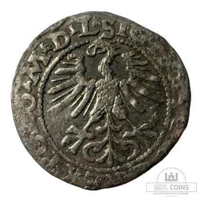 1564 metų Žygimanto Augusto 1/2 grašio - Image 2