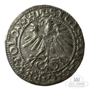 Alternative view of 1564 metų Žygimanto Augusto 1/2 grašio