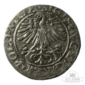 Alternative view of 1564 metų Žygimanto Augusto 1/2 grašio