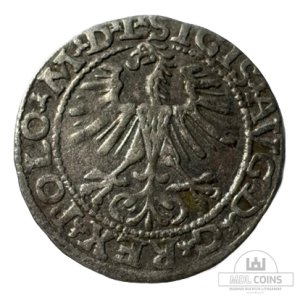 Alternative view of 1564 metų Žygimanto Augusto 1/2 grašio