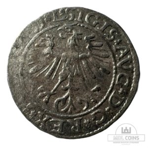 Alternative view of 1564 metų Žygimanto Augusto 1/2 grašio