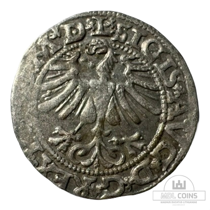 1565 metų Žygimanto Augusto 1/2 grašio - Image 2