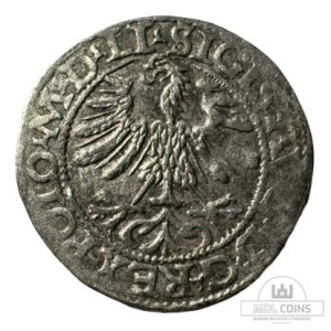 Alternative view of 1565 metų Žygimanto Augusto 1/2 grašio