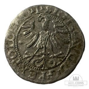 Alternative view of 1565 metų Žygimanto Augusto 1/2 grašio