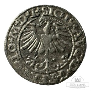 Alternative view of 1565 metų Žygimanto Augusto 1/2 grašio