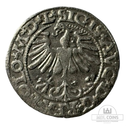 1565 metų Žygimanto Augusto 1/2 grašio - Image 2