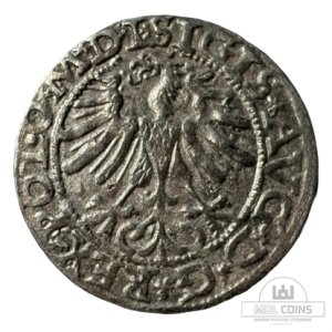Alternative view of 1565 metų Žygimanto Augusto 1/2 grašio