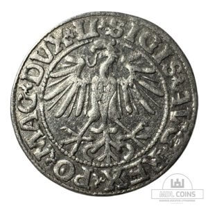 Alternative view of 1549 metų Žygimanto Augusto 1/2 grašio