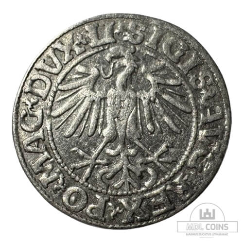 1549 metų Žygimanto Augusto 1/2 grašio - Image 2
