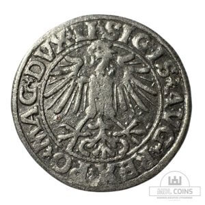Alternative view of 1549 metų Žygimanto Augusto 1/2 grašio