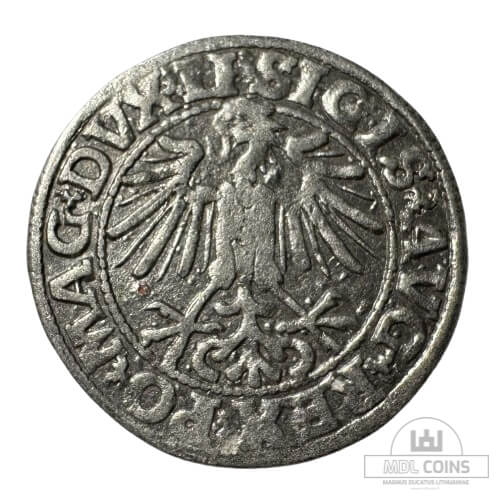 1549 metų Žygimanto Augusto 1/2 grašio - Image 2