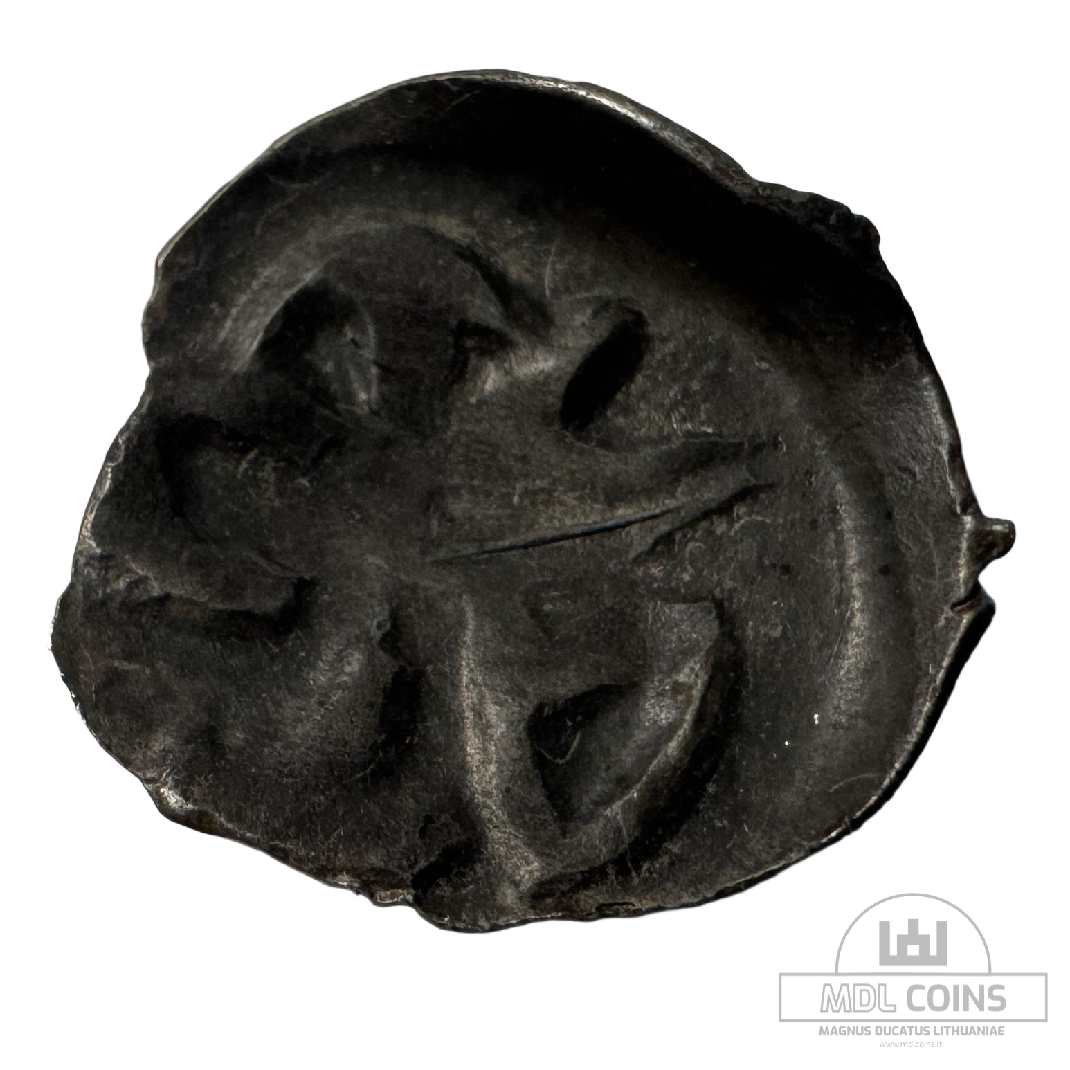 1396-1401 metų Vytauto Didžiojo 1/2 grašio - "PECHIAT" - 6V tipas