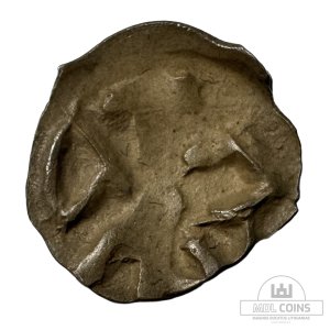 1396-1401 metų Vytauto Didžiojo 1/2 grašio - "PECHIAT" - 6V tipas