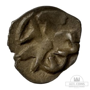 1396-1401 metų Vytauto Didžiojo 1/2 grašio - "PECHIAT" - 6V tipas
