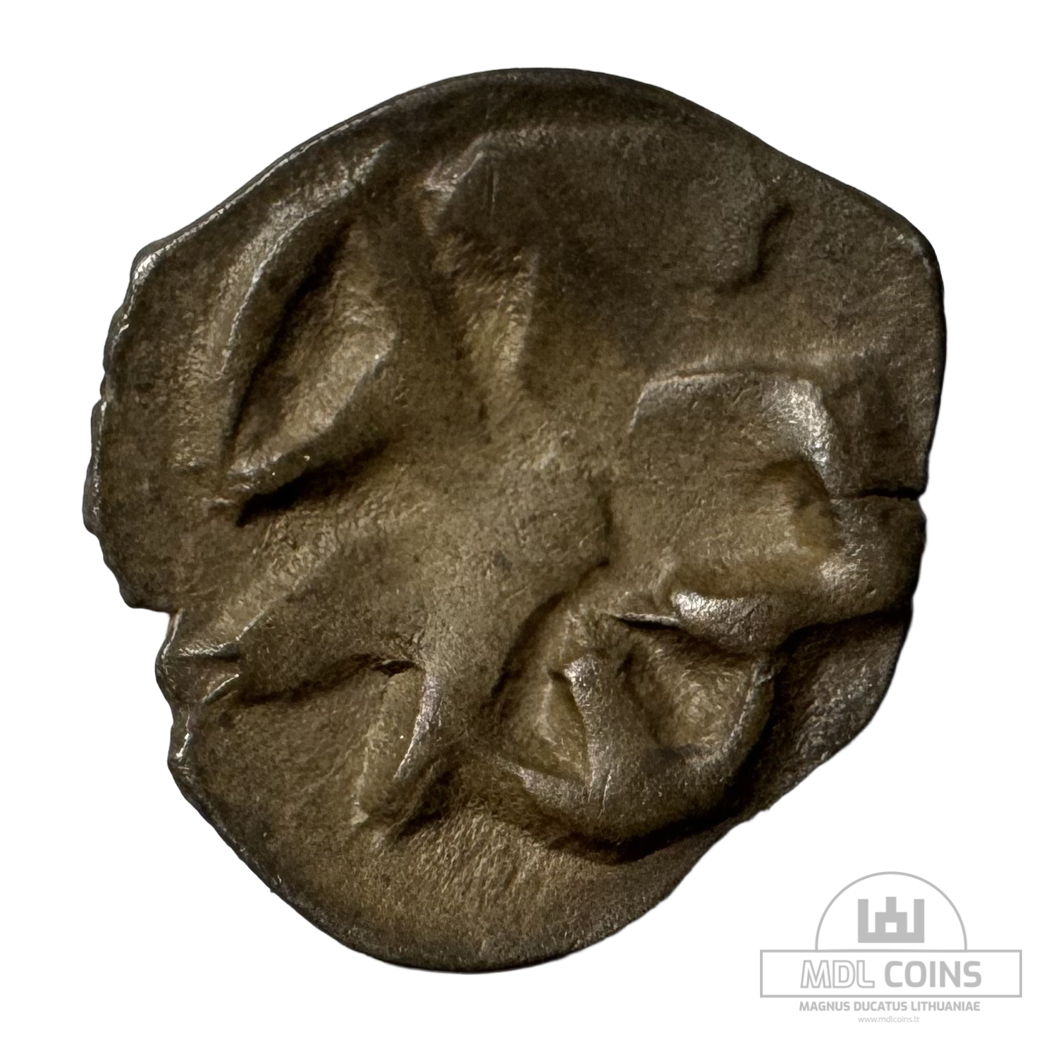 1396-1401 metų Vytauto Didžiojo 1/2 grašio - "PECHIAT" - 6V tipas
