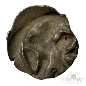 1396-1401 metų Vytauto Didžiojo 1/2 grašio - "PECHIAT" - 6V tipas